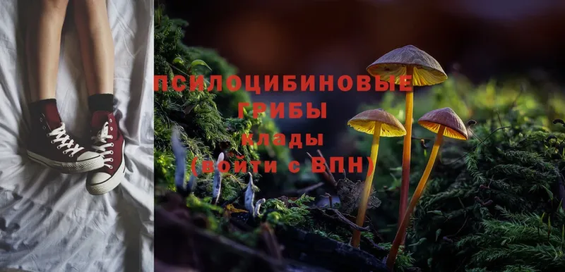 Псилоцибиновые грибы Magic Shrooms  mega ссылки  Сим  как найти наркотики 